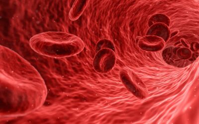 Platelet Rich Fibrin May Expedite Healing